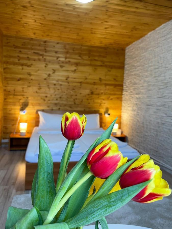 Bed and Breakfast Somogyi Vendeghaz Bancu Екстер'єр фото